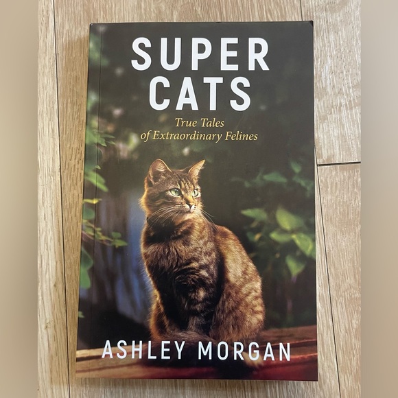 Super Cats by Ashley Morgan - Picture 1 of 2